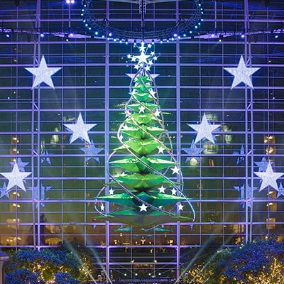 GAYLORD NATIONAL
