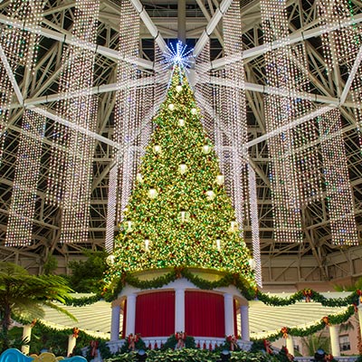 GAYLORD PALMS